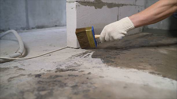 Top rated local Basement Waterproofing specialists in Middle Point, OH